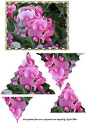 Summer Flowers