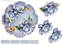 Blue mist rose
