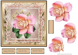 Perfect rose