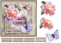 rose and butterfly garden