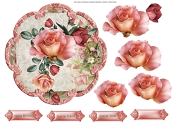 Rose romantic