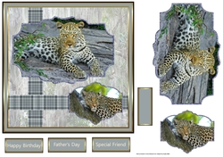 The Leopards