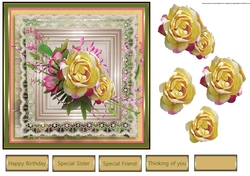 Hedge rose