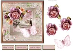 garden of roses