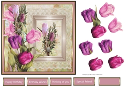 Tulips of spring
