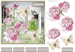 garden rose and butterfly