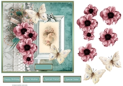 Anemone and butterfly