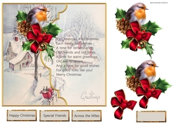 Robin vintage Christmas