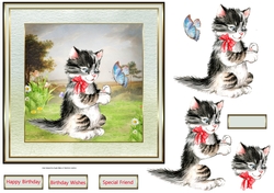 The cat and the butterfly