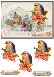 Robin watches Santa