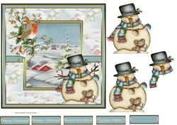 snowman and robin
