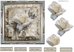 Anniversary rose