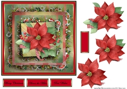 Red poinsettia and baubles