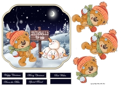 Ted bought some snowballs