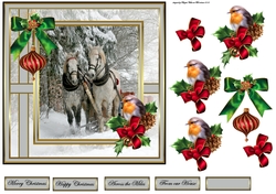 Sleigh ride