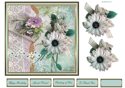 Lace flowers anemone