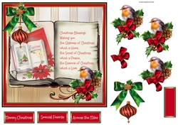 Robin Redbreast and bauble