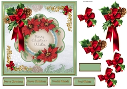 Red poinsettia 