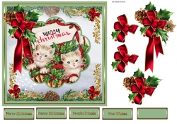 Kittens first Christmas