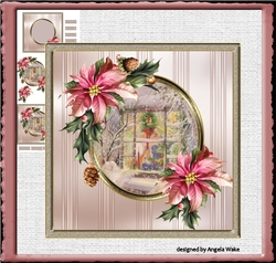 Christmas window and poinsettia