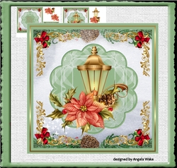 Poinsettia and lamp light
