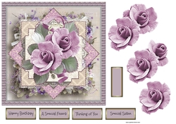 The lilac rose