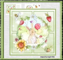 Rabbit fun day