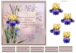 Iris and carnations