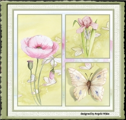 Poppy, iris and butterfly
