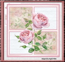 Pink English rose