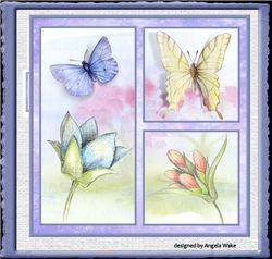 Butterflies and flowers