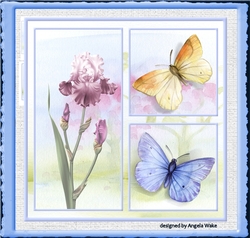Summer butterfly