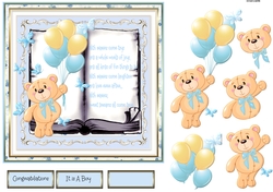 Balloon bear boy
