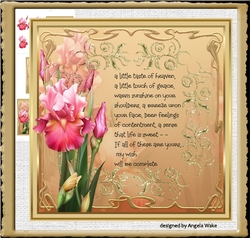 Pink Iris