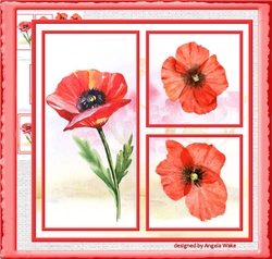Wild poppy 7x7 card
