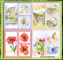 Scenes and Flowers