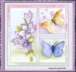 Warm flowers of summer