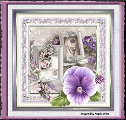 Pansy 7x7