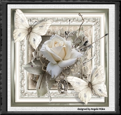 White rose and butterfly