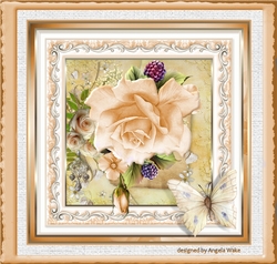 A Peach rose