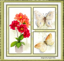 Red Dahlia and butterfly