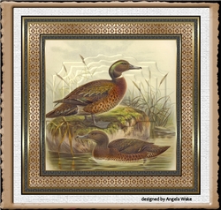 Ducks swimming 7x7