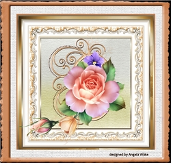 Pink rose