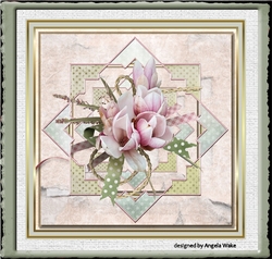 Pink rose bloom