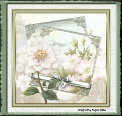 Delicate Camelia
