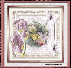 Lilac iris