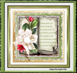White anniversary rose