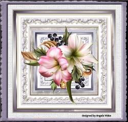 Amaryllis lilac