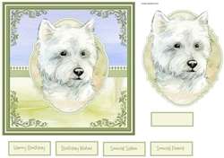 Westland terrier dog