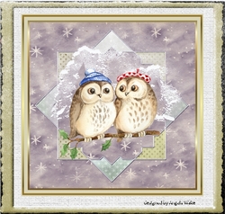 Cosy owls